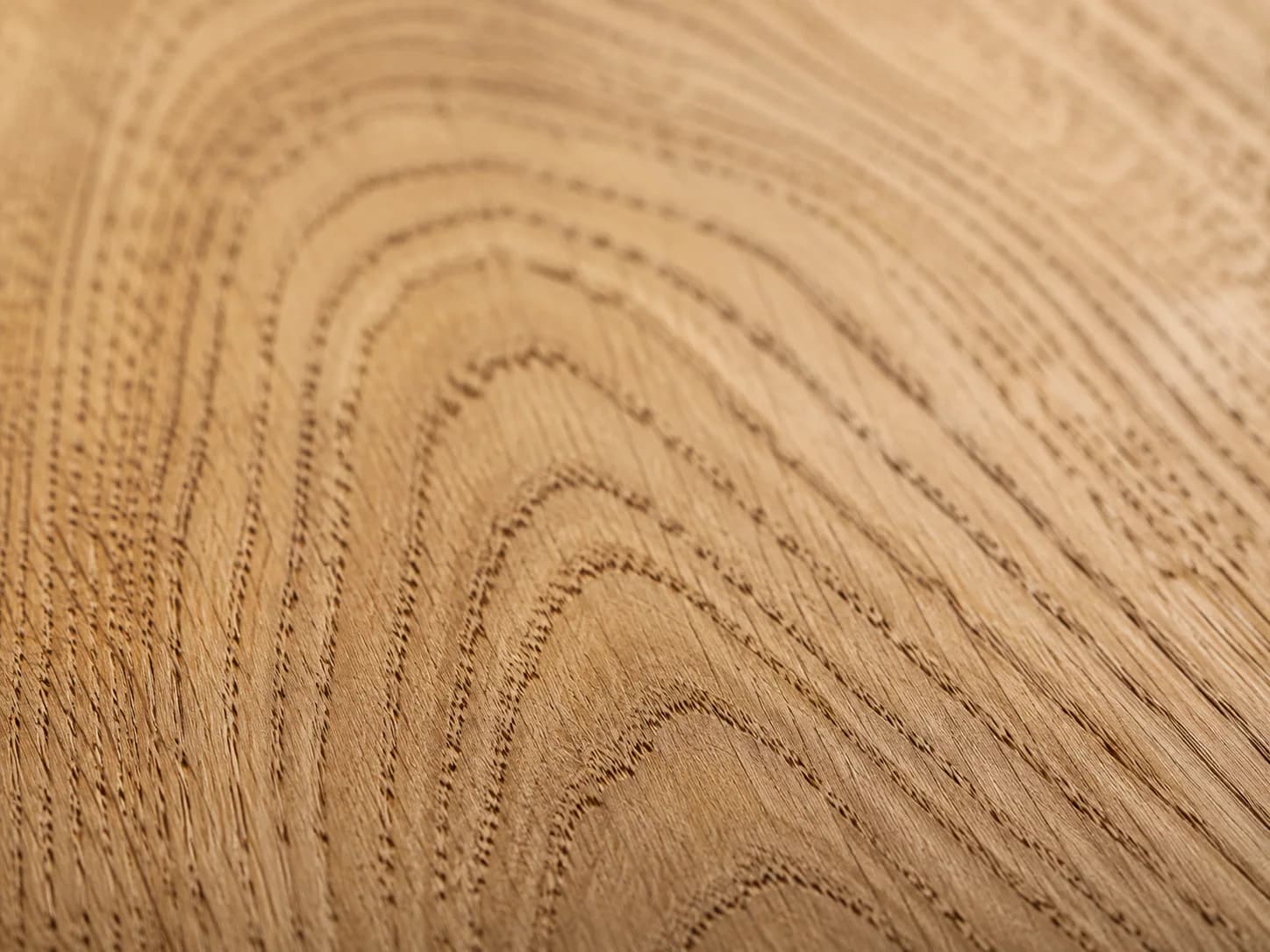 European oak grain detail